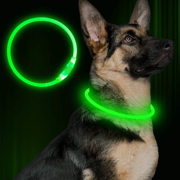 Rechargeable LED Dog Collar - BougiePets