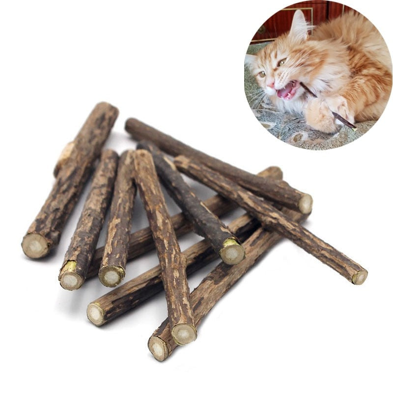 Cat Snacks Sticks Tooth Cleaning Toys - BougiePets