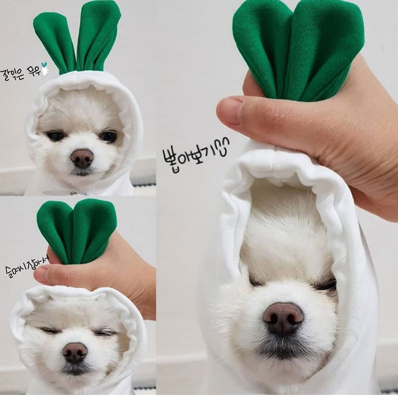 Warm Cute Plush Hoodies - BougiePets