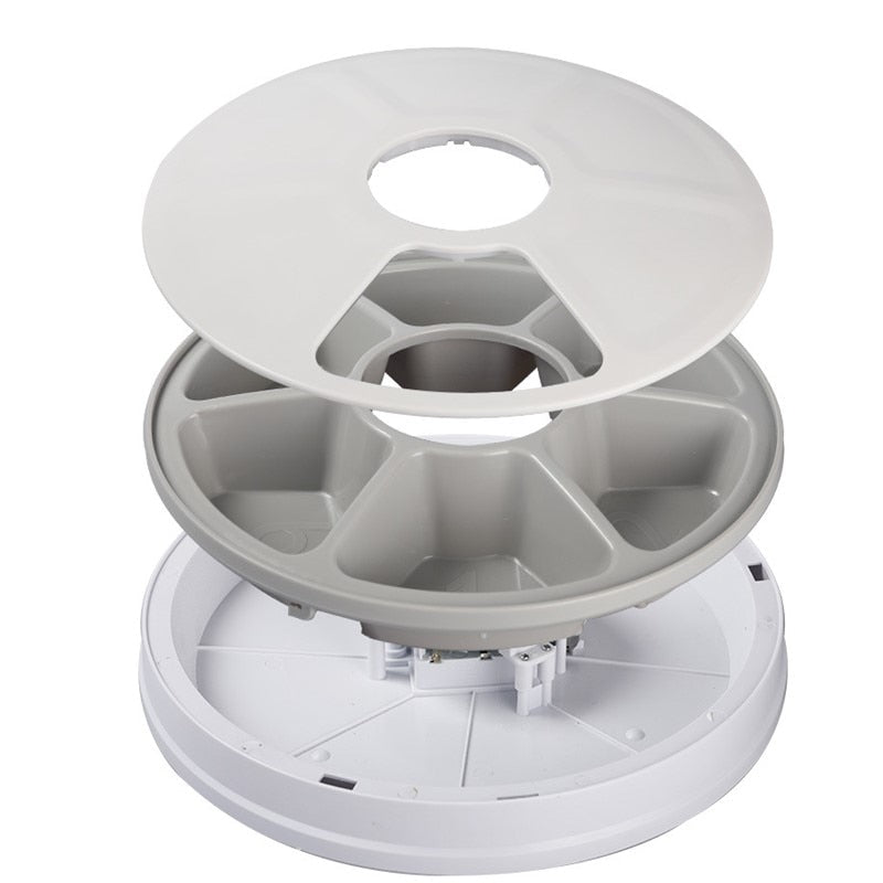 Round Timing Pet Feeder - BougiePets