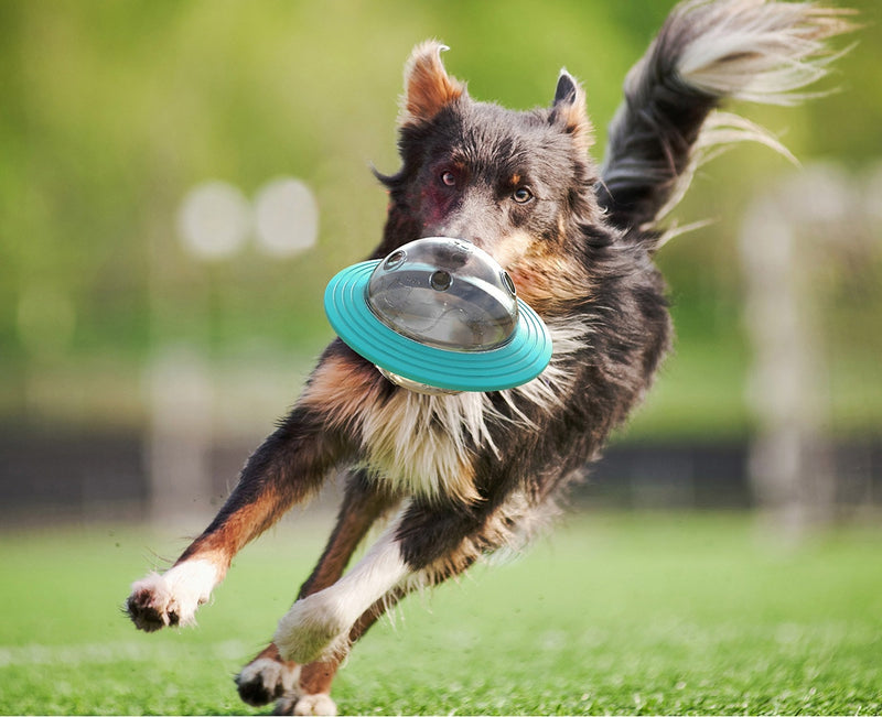Dog Toys Ball Food Dispener IQ Puzzle Pet Traning Toys For Dogs Pet ball-Food ball For dogs - BougiePets