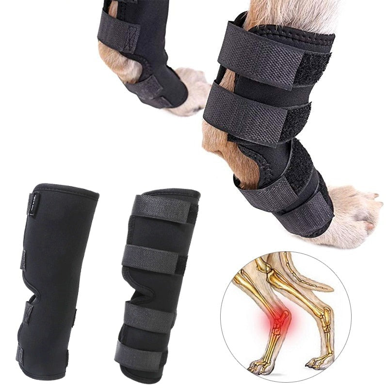 1 Set Pet Dog Bandages Dog Leg Knee Brace Straps Protection for Dogs Joint Bandage Wrap Doggy Medical Supplies Dogs Accessories3 - BougiePets
