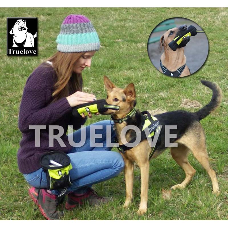 Truelove Feed Dummy Dog Pet Treat Bag Reflective Dog Training Carry Treats Dog Toys Pet Feed Pocket Pouch Poop Bag Dispenser - BougiePets
