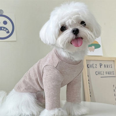 Pet Turtleneck Sweater - BougiePets