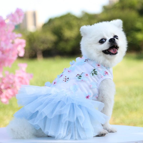 Pet Lace Chiffon Dress - BougiePets