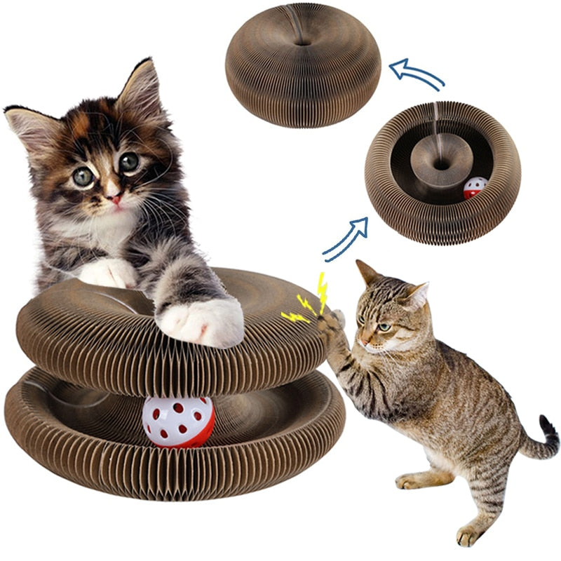 Pet Cat Toy Scratch Board Magic Organ With Catnip Bell Ball Round Accessories Gatos Scratching Grinding Claw Chase Interactive - BougiePets