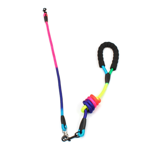 New Rainbow Multi Dogs Leash Nylon Detachable Pet Lead Foam Handle 1 Leash for 2 or 3 or 4 Dogs Round Traction Rope Dog Supplies - BougiePets