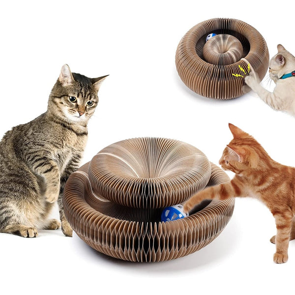 Pet Cat Toy Scratch Board Magic Organ With Catnip Bell Ball Round Accessories Gatos Scratching Grinding Claw Chase Interactive - BougiePets