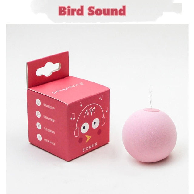 Interactive Ball Catnip Training Toy - BougiePets