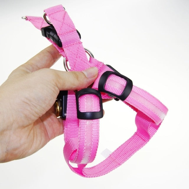 Led Flashing Light Harness Collar for Pet - BougiePets