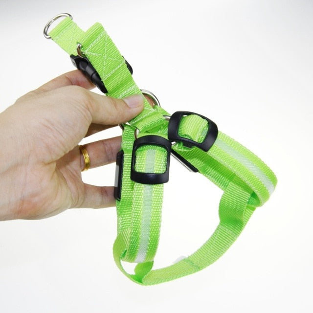 Led Flashing Light Harness Collar for Pet - BougiePets