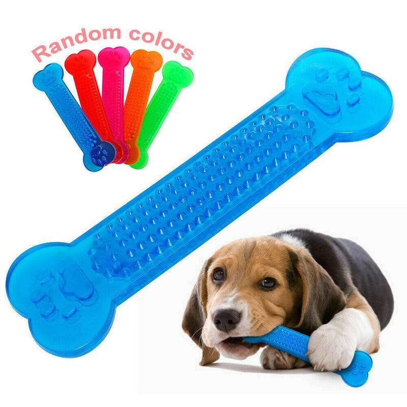 Pet Dog Chew Toys Rubber Bone - BougiePets