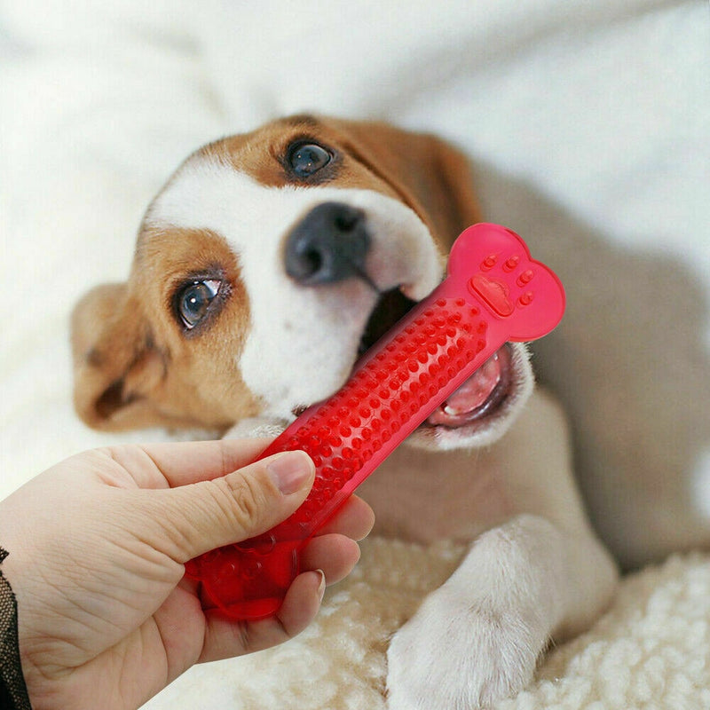 Pet Dog Chew Toys Rubber Bone - BougiePets
