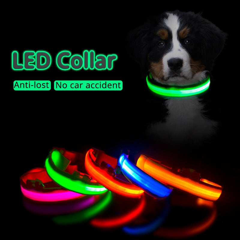 Anti-Lost Led Pet Collar - BougiePets