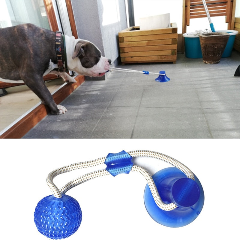 Pet Toys Interactive Suction Cup Push TPR Ball - BougiePets