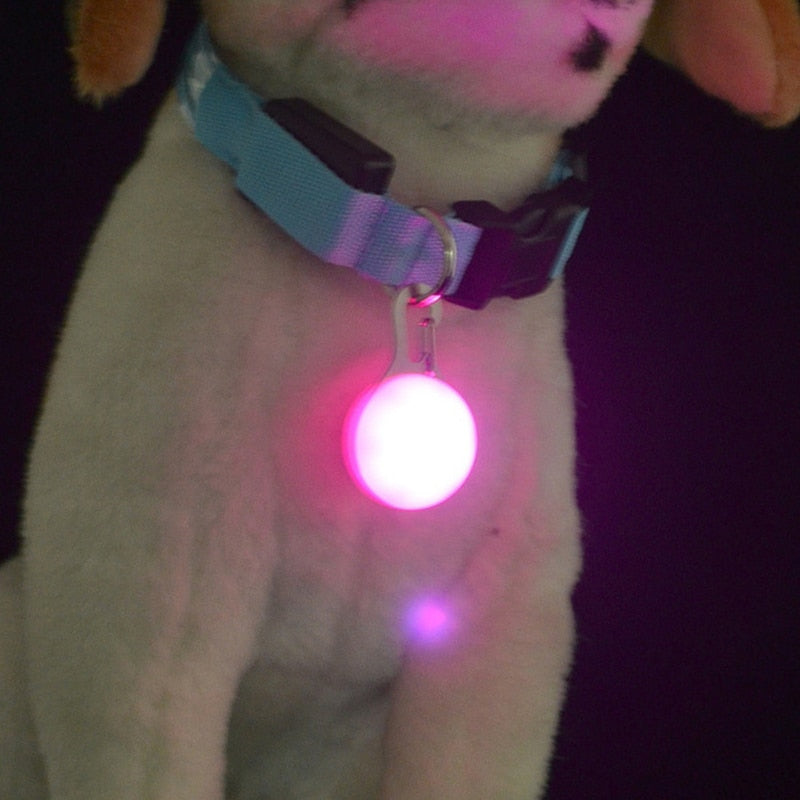 LED Dog Collar - BougiePets