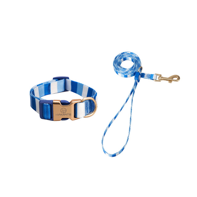 Harness and Leash Set For Pitbull - BougiePets