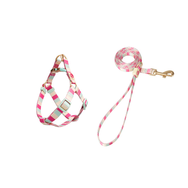 Harness and Leash Set For Pitbull - BougiePets